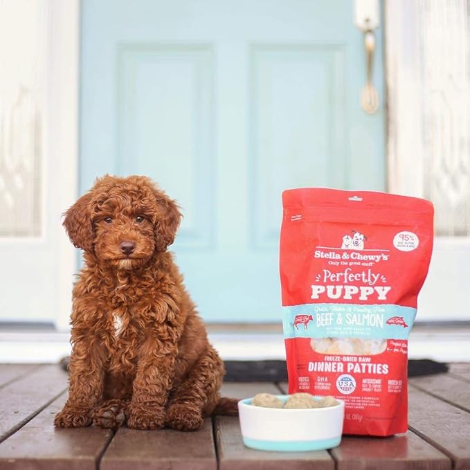 Stella & Chewy's Freeze Dried Raw Dinner Patties – Crafted for Puppies – Grain Free, Protein Rich Perfectly Puppy Chicken & Salmon Recipe – 14 oz Bag