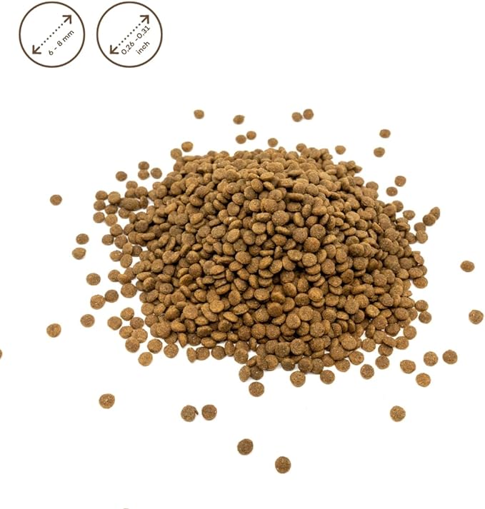 Nature's Protection Superior Care White Dogs Grain-Free Dry Dog Food for Junior Light Coated Dogs, White Fish, 3.3 lbs.