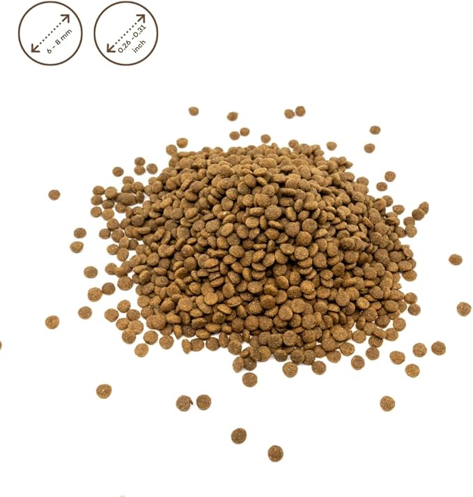 Nature's Protection Superior Care White Dogs Grain-Free Dry Dog Food for Junior Light Coated Dogs, Salmon, 3.3 lbs.