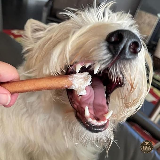 Bully Bunches Premium 6 Inch Standard Odor-Free Bully Sticks for Small to Medium Dogs & Puppies - Long Lasting Chews for Oral Care - All Natural, 100% Beef Dog Treats, Rawhide Free (20 Pk)