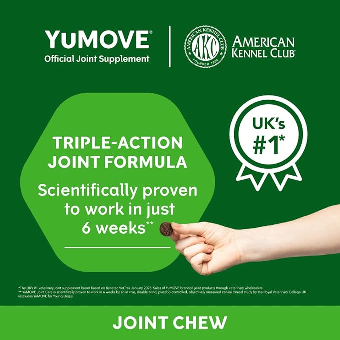 Lintbells YuMOVE Joint Supplement Dog Chews - Contains Glucosamine, Green Lipped Mussel - Natural Relief from Hip Ache, Stiff Joints - 1 Month’s Supply (Small & Medium)