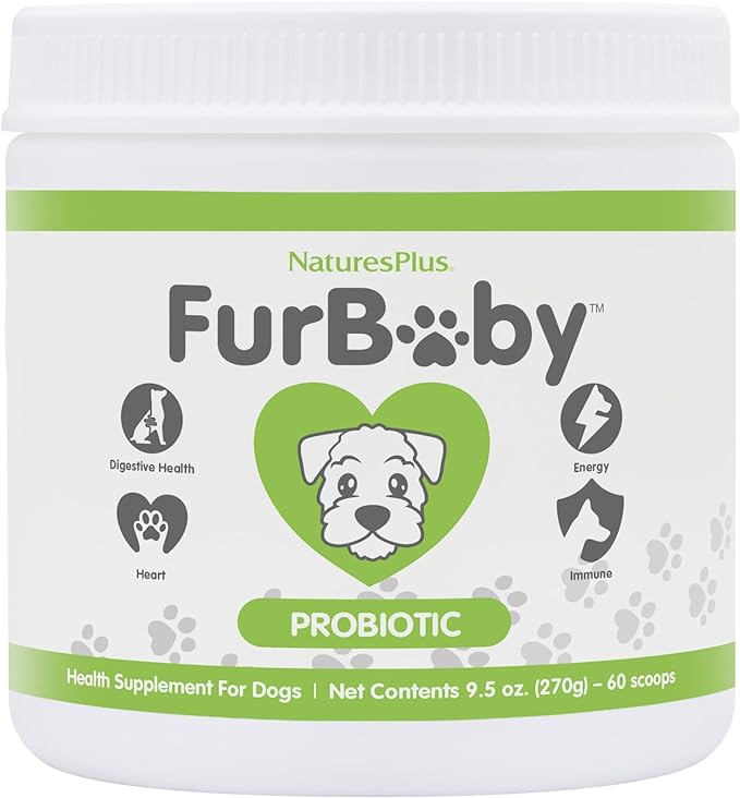 NaturesPlus FurBaby Probiotic for Dogs - 9.5 oz - Supports Digestive, Heart, Liver & Immune Health - 60 Servings
