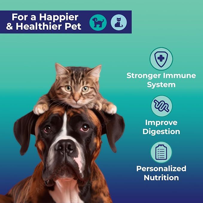 Basic Gut Check - at-Home Gut Microbiome Health Test for Cats and Dogs - Complete Digestive Health Analysis- Easy Process & Digital Results