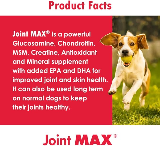 Triple Strength Hypo-Allergenic Soft Chews for Dogs - Hip and Joint Support Supplement with Glucosamine, Chondroitin, & MSM - Made in The USA - 120 Soft Chews