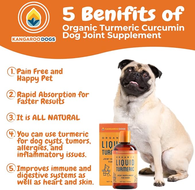 Organic Turmeric Curcumin Dog Joint Supplement - Liquid for Faster and Better Absorption Natural Dog Joint Supplement Liquid (8 oz)