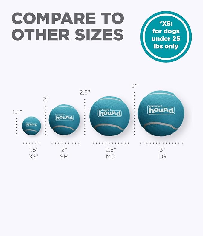 Outward Hound Squeaker Ballz Fetch Dog Toy, Large - 2 Pack