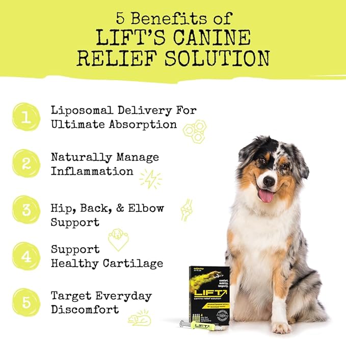 Summit Animal Lift Canine Pain Relief Health Supplement - Inflammation Hip & Joint Support Vitamin, All Natural Liquid Chrondroitin with Liposomal Delivery for Arthritis (Medium Dogs 25lbs-75lbs)