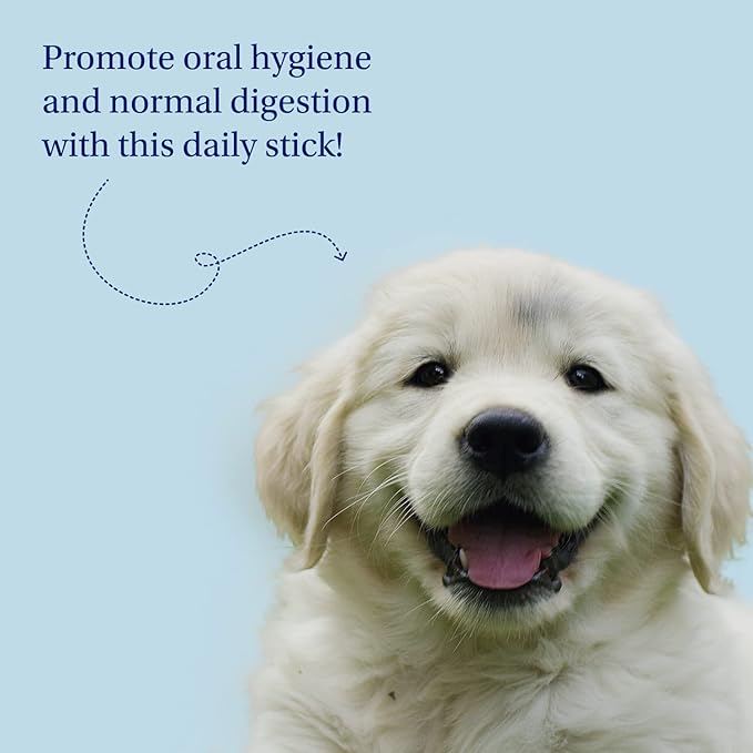 Petlab Co. Dental Sticks – Dog Dental Chews -Target Plaque & Tartar Build-Up at The Source - Designed to Maintain Your Dog’s Oral Health, Keep Breath Fresh and Provide Digestive Help (24 Sticks)