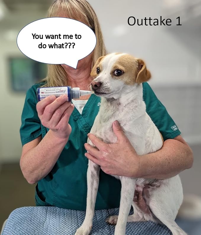 Activated Charcoal Gel 60ml EZ Dose Bottle (1-Pack) Pet Emergency First Aid Poison Antidote Treatment