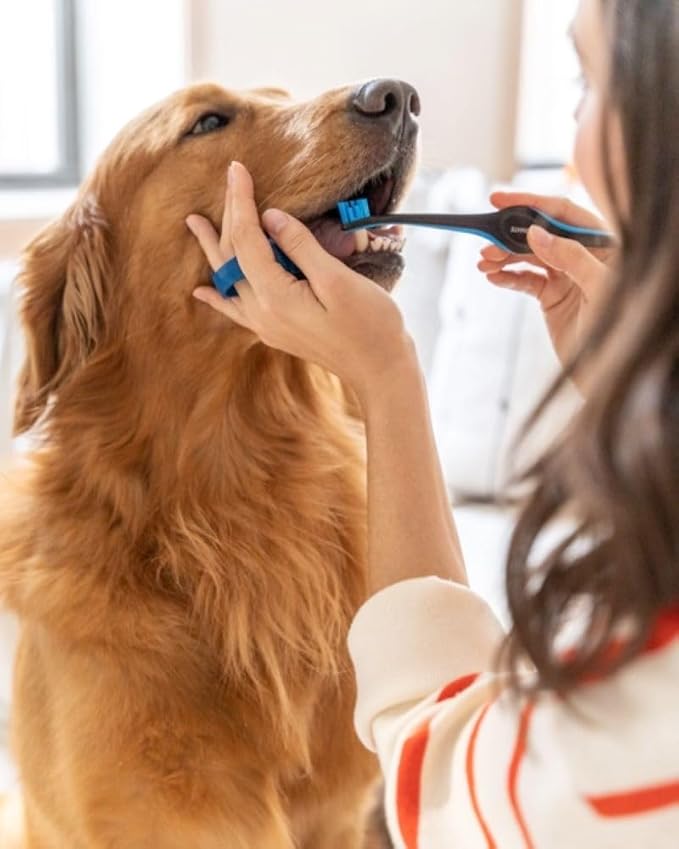 Dual-Size Angled Soft Brush Heads Toothbrush for Pet Puppies, Dogs, and Cats - Ergonomic Handle, Long Neck, Special Rubber Stimulators - Dental Care Tool for Healthy Oral Hygiene