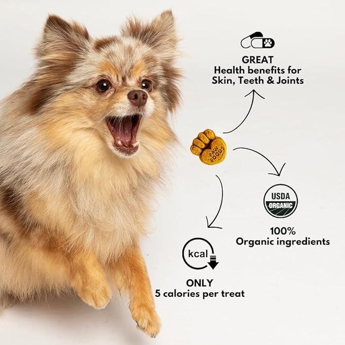 Salmon Dog Treats - Organic Dog Treats with Salmon - Shiny Coat Healthy Skin, Omega 3 & 6, Low Calorie Dog Training Treats, Healthy Dog Treats - Approx. 60 Treats Per Bag - 170g - Made in USA