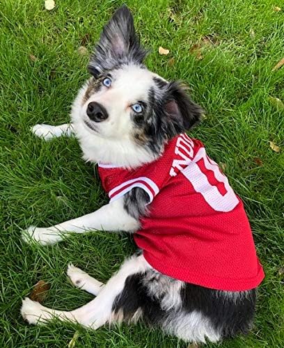 Pets First Pet Jersey INDIANA HOOSIERS Dog Jersey, Small