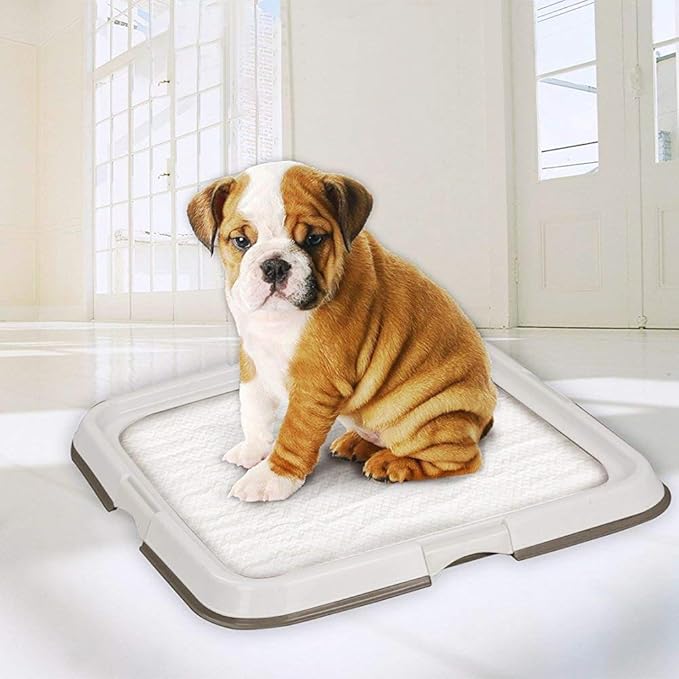 PAWISE Dog Training Pad Holder Tray, Indoor Puppy Potty Pee Pad Floor Tray with 12pcs Pee Pads