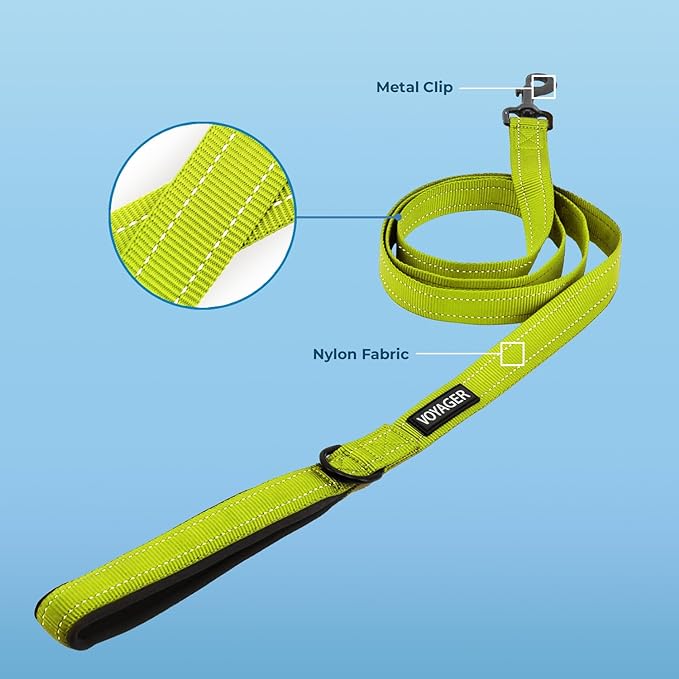 Voyager Reflective Dog Leash with Neoprene Handle, 5ft Long, Supports Small, Medium, and Large Breed Puppies, Cute and Heavy Duty for Walking, Running, and Training - Lime Green (Leash), S