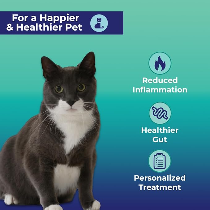 Cat Gut Health Test Kit - Comprehensive At-Home Digestive Evaluation for Cats - Fast Digital Results, Expert Panel Insights