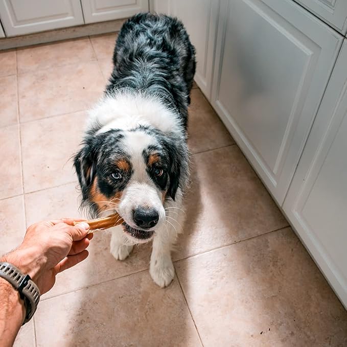 Mon Ami Braided Bully Sticks for Large and Small Dogs (11-12 inches, Pack of 8) - Made from Grass Fed Beef Dog Treats - Natural Bully Sticks - Grain Free & High Protein Dog Snack