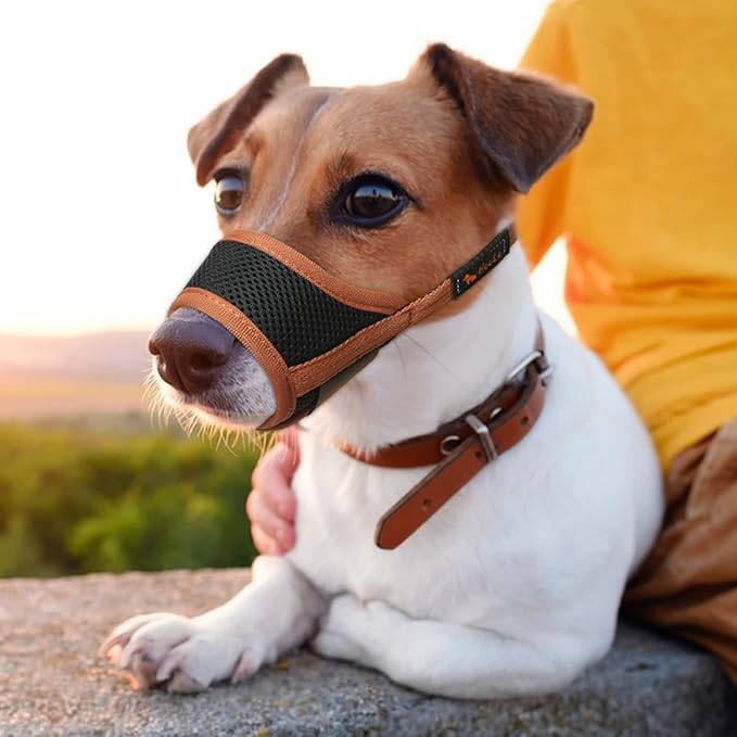 Dog Muzzle, Breathable Mesh Soft Dog Muzzle for Small Dog Allow Drinking Adjustable Print Dog Muzzles Medium