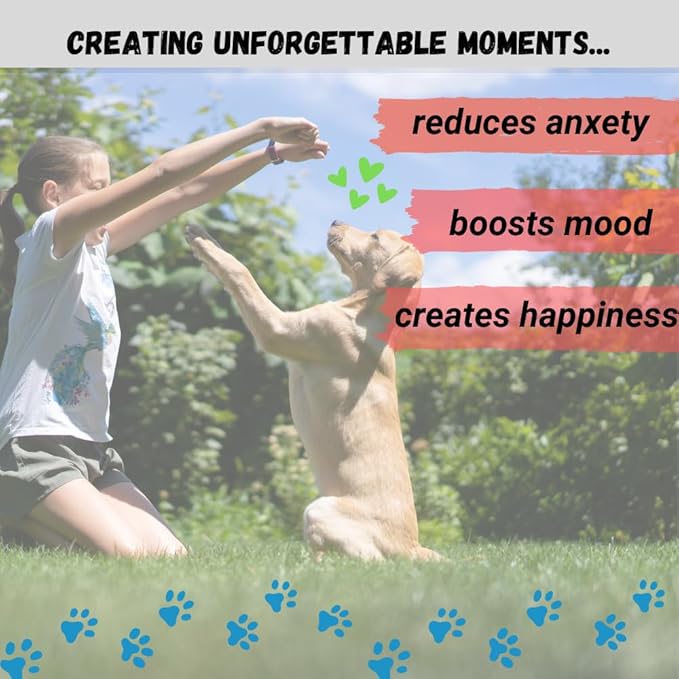 Amazing Dog Treats - Large Collagen Stick - (6 Inch - 8 Count) - Collagen Beef Cheek Rolls for Dogs - 100% Pure Collagen Sticks for Dogs - No Hide Bones for Dogs