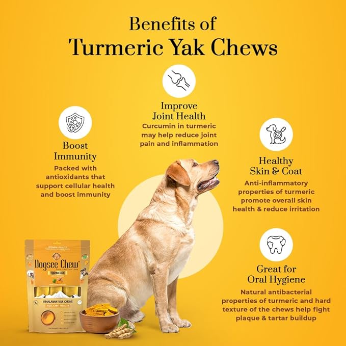 Dogsee Turmeric Flavor Himalayan Yak Cheese Dental Chews for Dogs 1lb (Medium - 6 Chews) | Anti-inflammatory | No Grain, No Gluten | Odorless Dog Treats