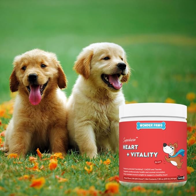 Cardio Support for Dogs – Cardiovascular Chews Heart Health, Circulation, Energy & Weight Management - with L-Carnitine, Hawthorn Berry, Coenzyme Q10 & Taurine for Dogs – 90 Soft Chews