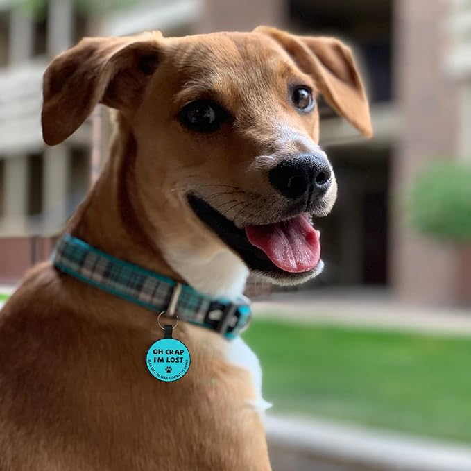 MYLUCKYTAG Silent Silicone QR Code Pet ID Tags Dog Tags - Pet Online Profile - Scan QR Receive Instant Pet Location Alert Email