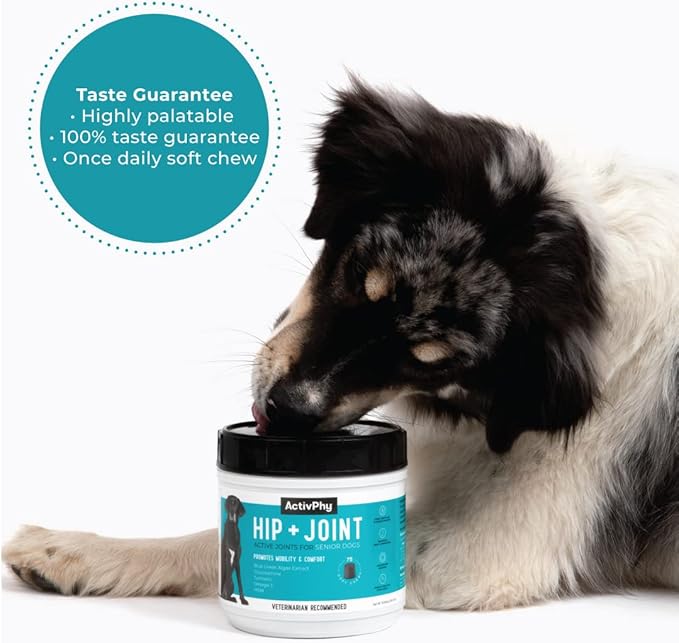 Hip + Joint Supplement with Glucosamine, MSM, Omega 3s, and Turmeric, Normal Inflammatory Response, Antioxidants, Made in USA, For Dogs , 75 ct