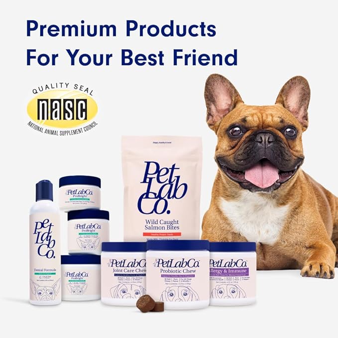 Petlab Co. Dental Sticks – Dog Dental Chews -Target Plaque & Tartar Build-Up at The Source - Designed to Maintain Your Dog’s Oral Health, Keep Breath Fresh and Provide Digestive Help (24 Sticks)