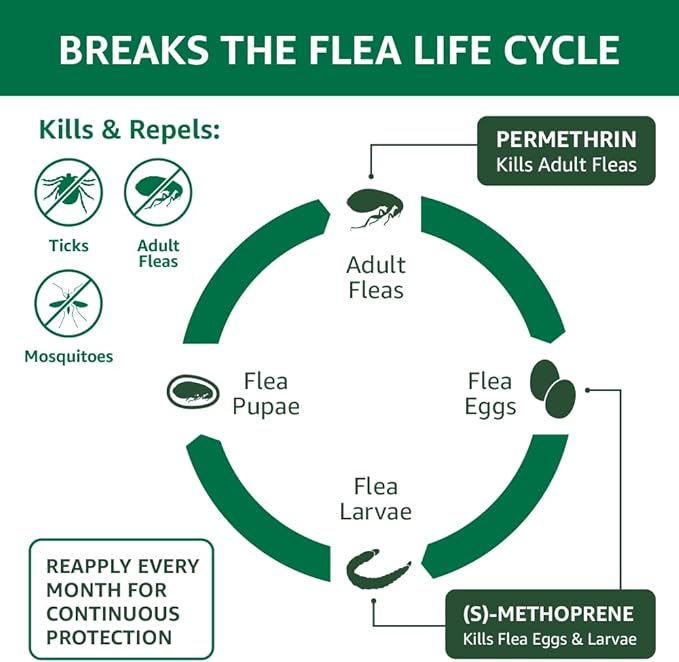 Amazon Basics Flea, Tick and Mosquito Topical for Small Dogs (4-10 pounds), 4 Count