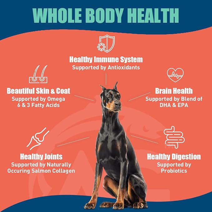 Wild Salmon SUPER3+ Dry Dog Food | High-Protein Blend with Freeze-Dried Raw Salmon & Salmon Oil | Grain-Free, All-Natural | Puppy & Adult | Allergy & Digestive Support | 3-lbs