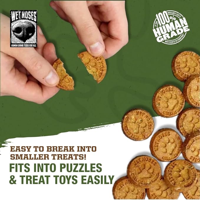 Grain-Free Organic Crunchy Dog Treats – for All Pet Sizes, Breeds – All-Natural Treat – 100% Human-Grade – Delicious Snacks for Dogs – Grain Free - Peanut Butter Molasses, 2 X 14oz Box