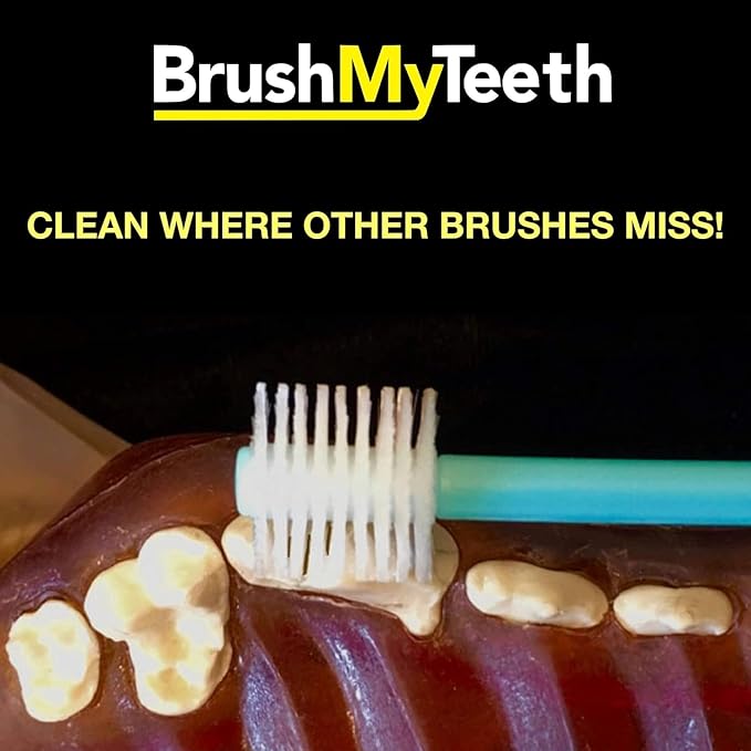 Medium Dog Toothbrush - Rounded Brush Head -Soft Flexible Bristles- for Safe and Gentle Brushing for Doggie, Any Medium Breed or Puppy, Daily Brushing Adds Years of Healthy Life
