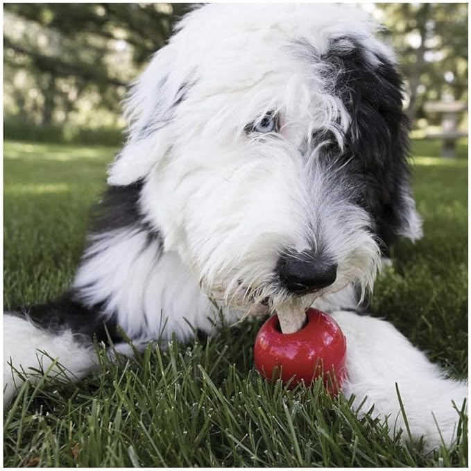 KONG Stuff'n Ziggies - Adult Dogs Original Recipe (Small - 7 oz) - Pack of 3