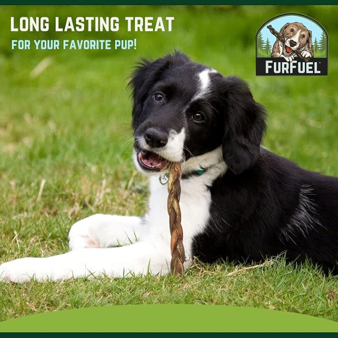 Braided Bully Sticks Variety Pack for Dogs - Suitable for Small, Medium, and Large Breeds – 3 Pack of 12-Inch Dog Bully Sticks - Low Odor, All-Natural Chew (12 Inch, 3 Count)