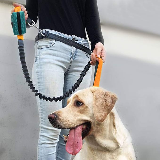 SLSON Pet Waste Bag Dispenser Zippered Pouch,Portable Dog Poop Bag Holder Leash Attachment Lightweight Fabric Bags (Green)