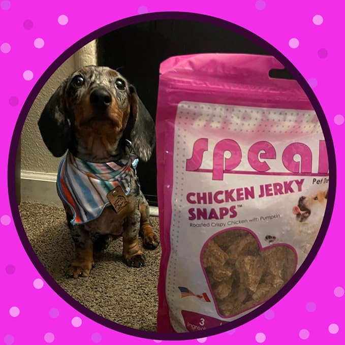 Chicken Jerky Snaps, Gluten and Grain Free Low Calorie Training Treat Snacks with Pumpkin, Perfect for Dogs 14 Ounces