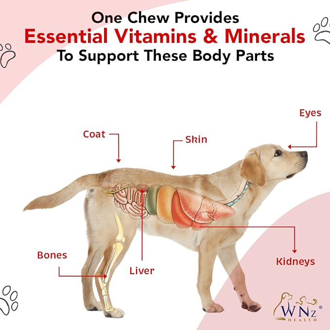 Dog Multivitamins and Supplements, Probiotics for Dogs w/Turmeric & Yucca, Probiotic Dog Chews for Brain Function, Gut & Immune Support, Joint Health & Anti-Inflammatory Supplement, 60 Chews, 8.4 oz