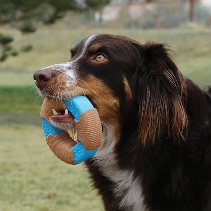 KONG CoreStrength Bamboo Ring - Dog Dental Chew Toy - Bamboo Dog Toy for Enrichment Play & Dental Care - with Raised Nubs & Texture for Teeth and Gum Cleaning - for Medium/Large Dogs