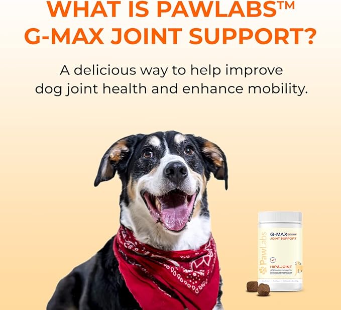 G-Max Joint Support - Maximum Strength Hip & Joint Supplement - Vet Formulated for Dog Arthritis Pain - Glucosamine, Chondroitin, MSM & Green-Lipped Mussel - Duck Flavor - 60 Soft Chews