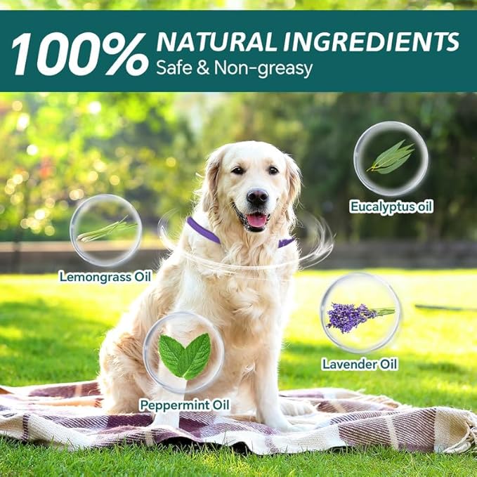 4 Pack Flea Collar for Dogs, 8 Months Flea and Tick Prevention for Dogs, Natural Flea and Tick Collar for Dogs, Tick Collar for Dogs, Waterproof Dog Flea Collar, One Size Fits All, Purple