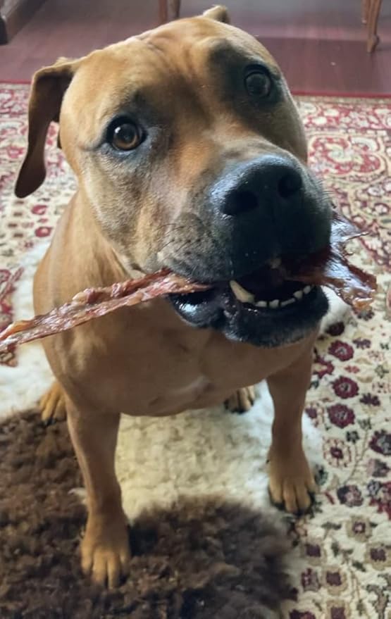 Ovine Jerky - Lamb Steak Treats for Dogs|Organic, All Natural, Single Ingredient, No Preservatives - Made in Oklahoma - 4oz - Unique Product