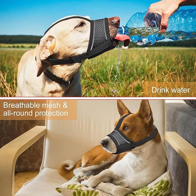 New Dog Muzzle, Breathable Drinkable Mesh Muzzle for Dogs,Anti Biting Barking Chewing,Grooming Muzzle for Dog with Anti-Drop Adjustable Anti-Drop &Shiny Reflective Strap in Night (Gray, L)