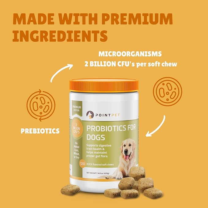 Probiotics for Dogs - Premium Probiotic Supplement with Prebiotics - Helps Support Proper Gut Flora, Digestive Tract & Loose Stool - Promote Intestinal Well-being