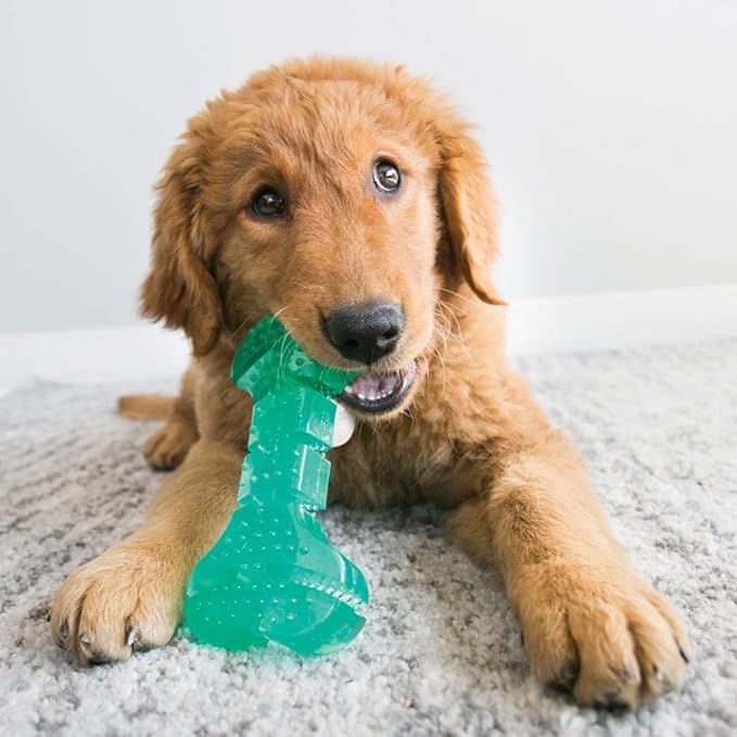 KONG Squeezz Dental Stick - Dog Toy for Cleaning Teeth - Flexible Chew Toy for Gentle & Mild Chewers - for Medium/Large Dogs
