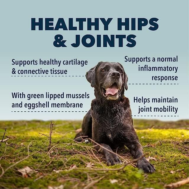 Hip & Joint - Mobility & Joint Support with Glucosamine and Chondroitin for Dogs, 2.4 oz - 22 to 60 Day Supply, Depending on Dog’s Weight - Vet Formulated - Easy to Mix - Delicious