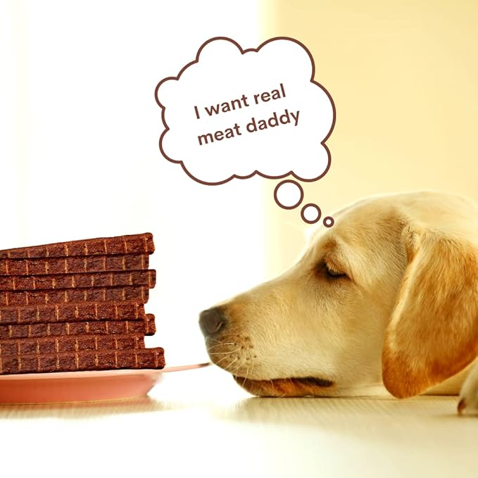 1 LB Variety Pack of Natural Grillers Dog Jerky Treats - Perfect for Training, Walking, and Treating - Made with Real Beef, Chicken, and Salmon (Beef Original Jerky)