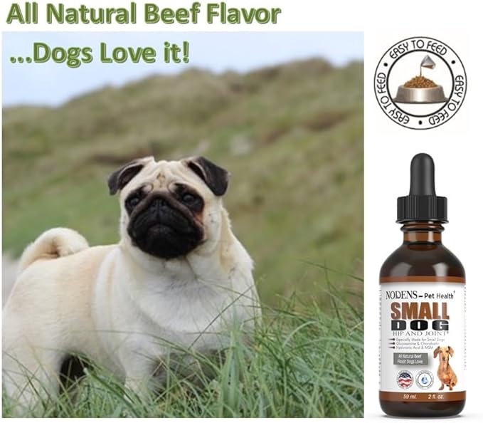 NODENS Small Dog Hip and Joint Liquid Glucosamine for Dogs with Chondroitin & MSM Hyaluronic Acid - Dog Joint Supplement for Dog Joint Flexibility - Glucosamine Natural Pain Relief for Dog Arthritis