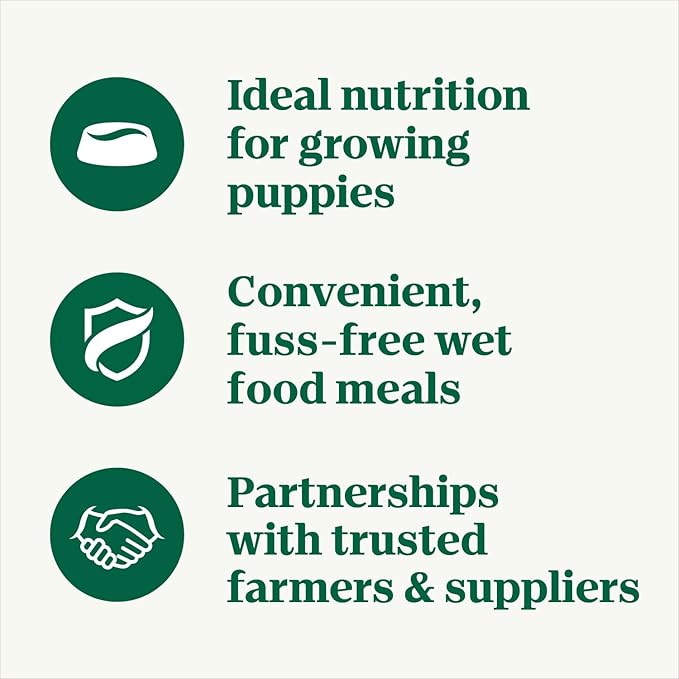 NUTRO PUPPY Grain Free Natural Wet Dog Food Bites in Gravy, Tender Chicken, Sweet Potato & Pea Recipe, 3.5 oz. Trays (Pack of 24)