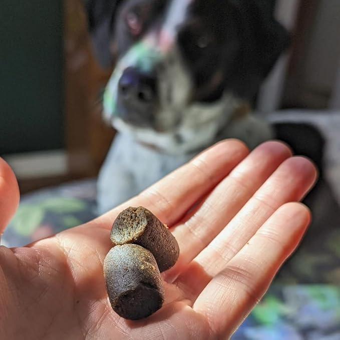 Hemp Well Hemp Relief Dog Soft Chews – Supports Joint Health in Dogs and Relieves Pain and Inflammation from Everyday Activities, Organically Sourced (2 Pack)