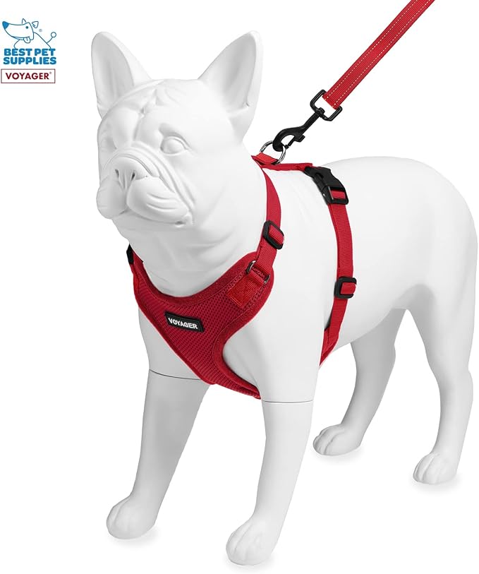 Voyager Step-in Lock Dog Harness w Reflective Dog Leash Combo Set with Neoprene Handle 5ft - Supports Small, Medium and Large Breed Puppies/Cats by Best Pet Supplies - Red, XS