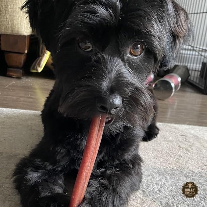 Bully Bunches Premium 6 Inch Standard Odor-Free Bully Sticks for Small to Medium Dogs & Puppies - Long Lasting Chews for Oral Care - All Natural, 100% Beef Dog Treats, Rawhide Free
